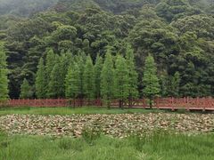 -广州市石门国家森林公园