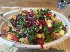 -油梨树AVOCADO TREE(嘉里中心店)
