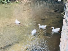 -北京水岸山吧度假村(雁栖镇店)