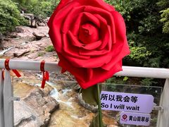-黄山翡翠谷景区