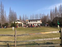 -前小桔亲子创意农场·草莓采摘·露营烧烤