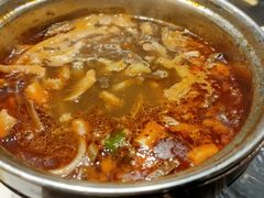 红汤羊杂-蒙料·手把肉(望京店)