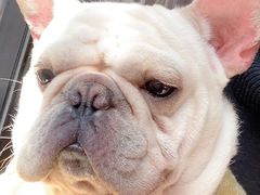 -真功夫(北京路步行街店)