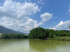 -鼎湖山风景区