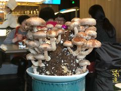 -捞王锅物料理(上海世茂广场店)