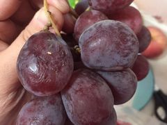 -乐乐鲜果水果超市(河北店)