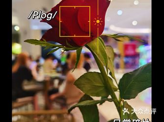 「象隐·地道曼谷料理(解放碑协信星光店)」「黄咖喱牛