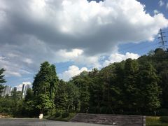 -重庆彩云湖湿地公园