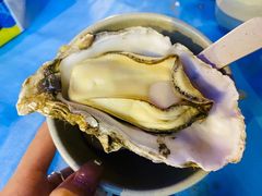 -千岛蚝高压锅生蚝·人参火锅(白云万达店)