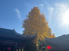 -檀园
