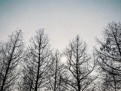 -滆湖低碳生态公园