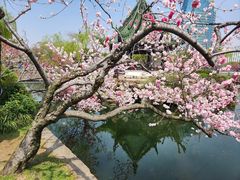 -无锡蠡湖国家湿地公园-蠡园