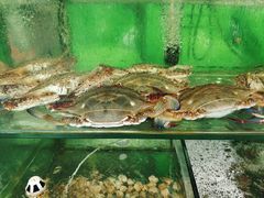 -四海鲜渔家菜(黄金海岸店)