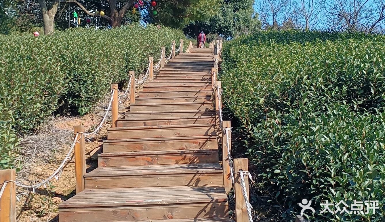 浙江安吉蔓塘里景区