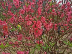 -水濂山森林公园