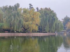 -团结湖公园