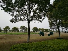 -上海都市菜园