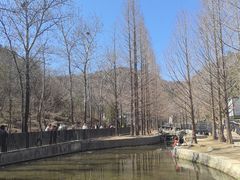 -白水寺森林公园