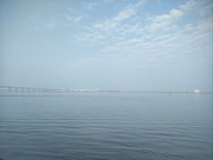 -大湾区中央湿地公园