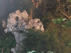 -李叔同故居纪念馆