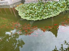 -华清宫景区