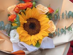 -上海星瀚奔驰4S店(红柳路店)