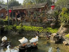 -青城甲(青城山店)