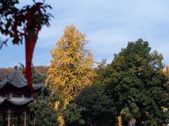 -宝通禅寺