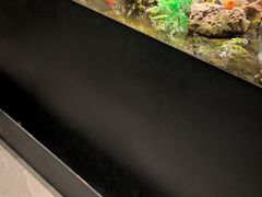 -映像威海·威海宴(威高广场店)