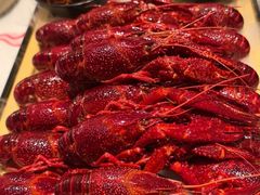 -肥肥虾庄·金牌油焖大虾(汉口城市广场店)