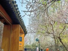 -春风习习