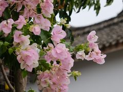 -中天楼