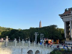 -顺峰山公园