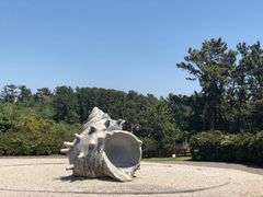 -柱状节理带