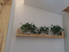 -金塔傣乡·云南民族特色菜·傣味手抓饭(金瓦路店)