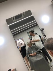 -Y-STUDIO原理
