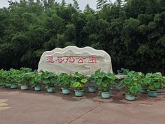 -莲花池公园