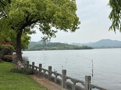 -杭州西湖柳莺里酒店·闻莺厅