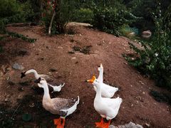 -厦门悦华酒店