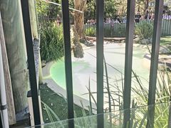 -费瑟代尔野生动物园