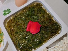 长寿菜-川锅一号火锅(1818牌楼店)