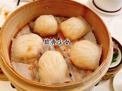 -金苑海鲜酒家(来魅力店)