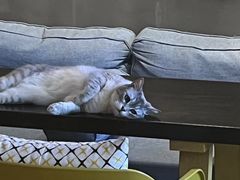 -脉冲品质汽美·贴膜(闵行店)