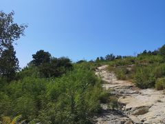 -白水寺森林公园