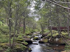-汤旺河林海奇石景区