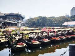 -荔湾湖公园