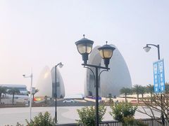 -野狸岛