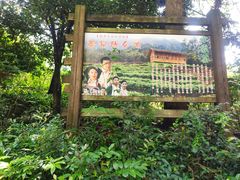 -姑婆山旅游区