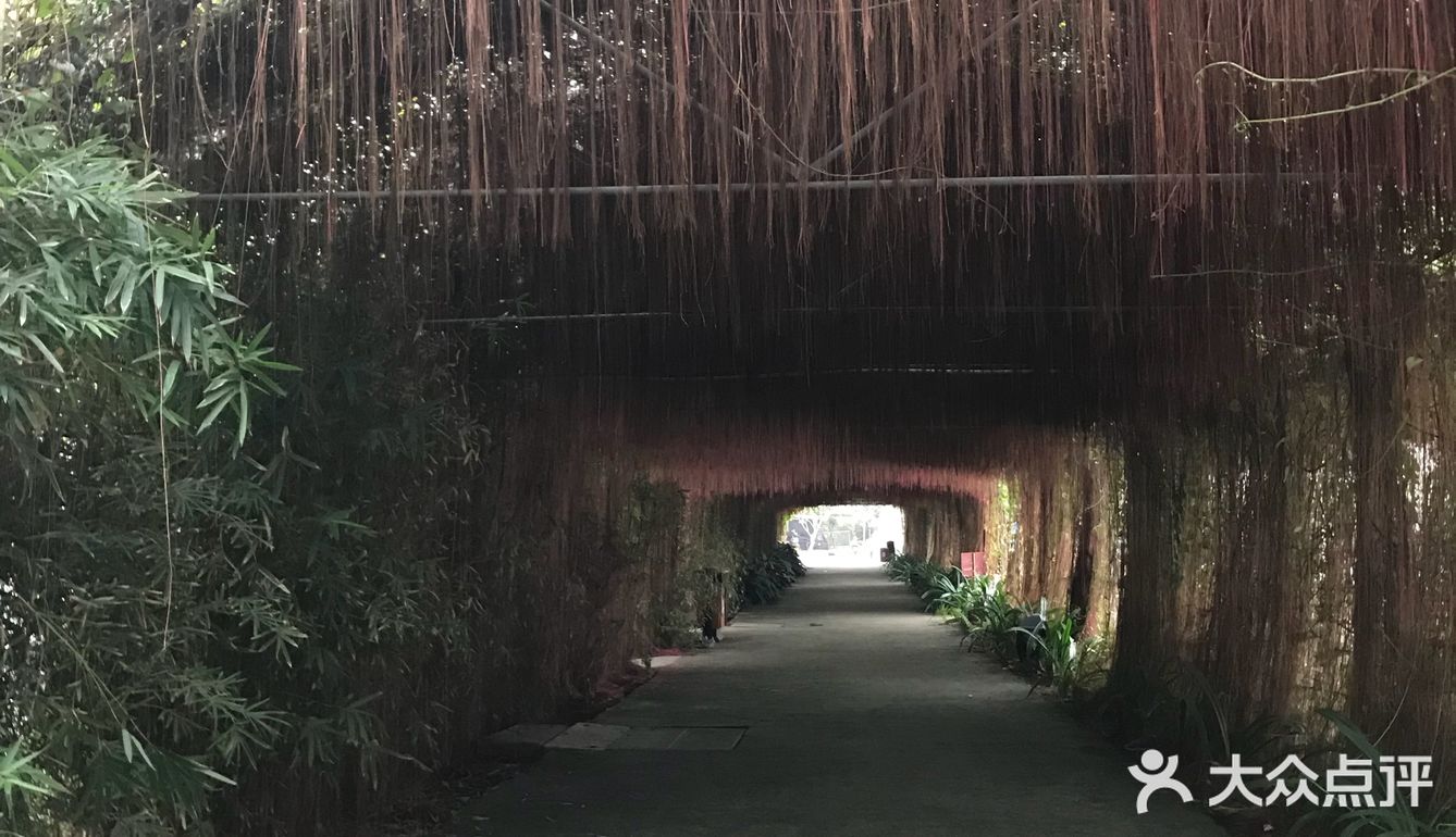 在高架桥下的农庄，抬头往上遥望大桥，非常庞大