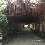在高架桥下的农庄，抬头往上遥望大桥，非常庞大